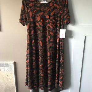 LuLaRoe Small Feathers Carly Dress